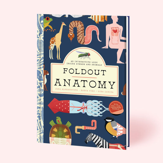 Foldout Anatomy